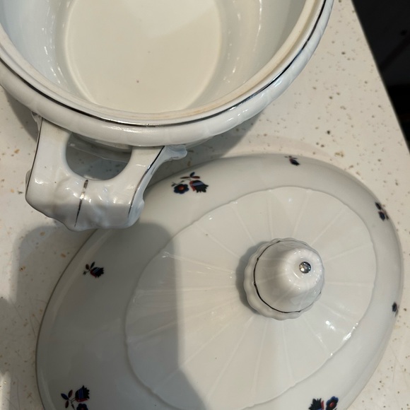 Savor the Elegance: TK Thun Bohemian China Soup Bowl – A Chic Culinary Delight! - Picture 4 of 9